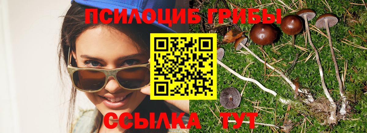 Галлюциногенные грибы мицелий  Псилоцибиновые грибы GOLDEN TEACHER  Обь  Вход с VPN 