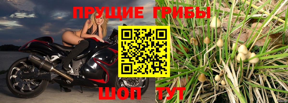 Псилоцибиновые грибы Magic Shrooms Обь